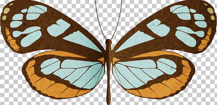 Butterfly Insect Greta Oto Photography PNG, Clipart, Animal, Arthropod, Brush Footed Butterfly, Butterflies And Moths, Butterfly Free PNG Download