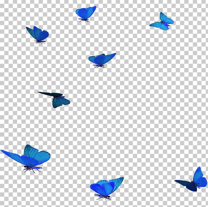 Butterfly Papillon Dog Blue PNG, Clipart, Animal, Bird, Blue, Butterflies, Butterflies And Moths Free PNG Download