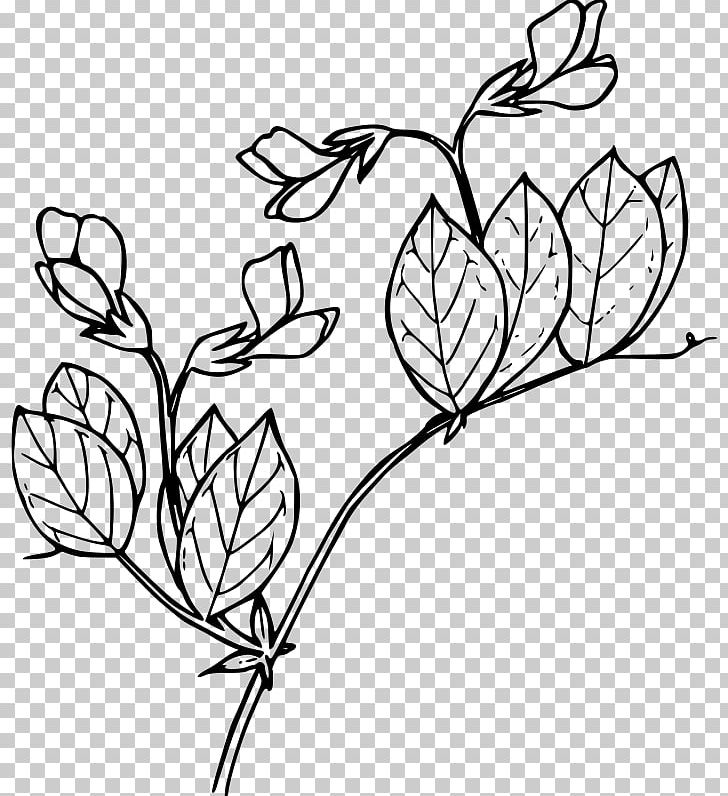 Line Art Drawing PNG, Clipart, Art, Artwork, Black And White, Branch, Coloring Book Free PNG Download