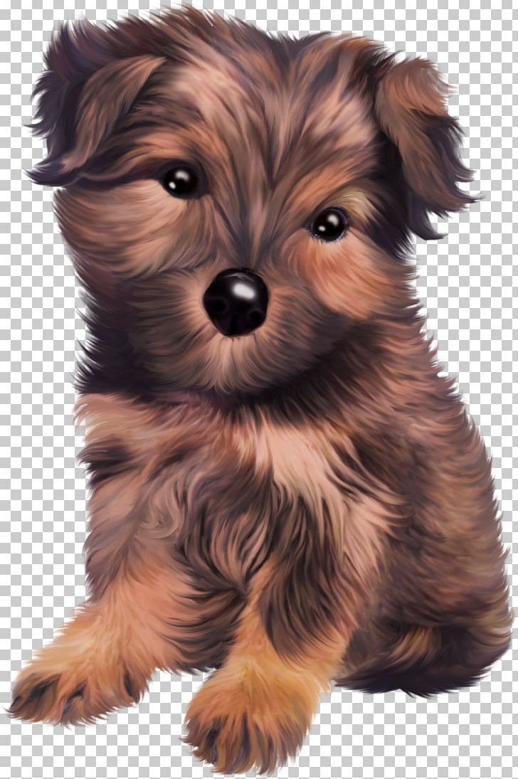 Puppy Yorkshire Terrier Rottweiler Papillon Dog PNG, Clipart, Animal, Animals, Carnivoran, Companion Dog, Dog Breed Free PNG Download