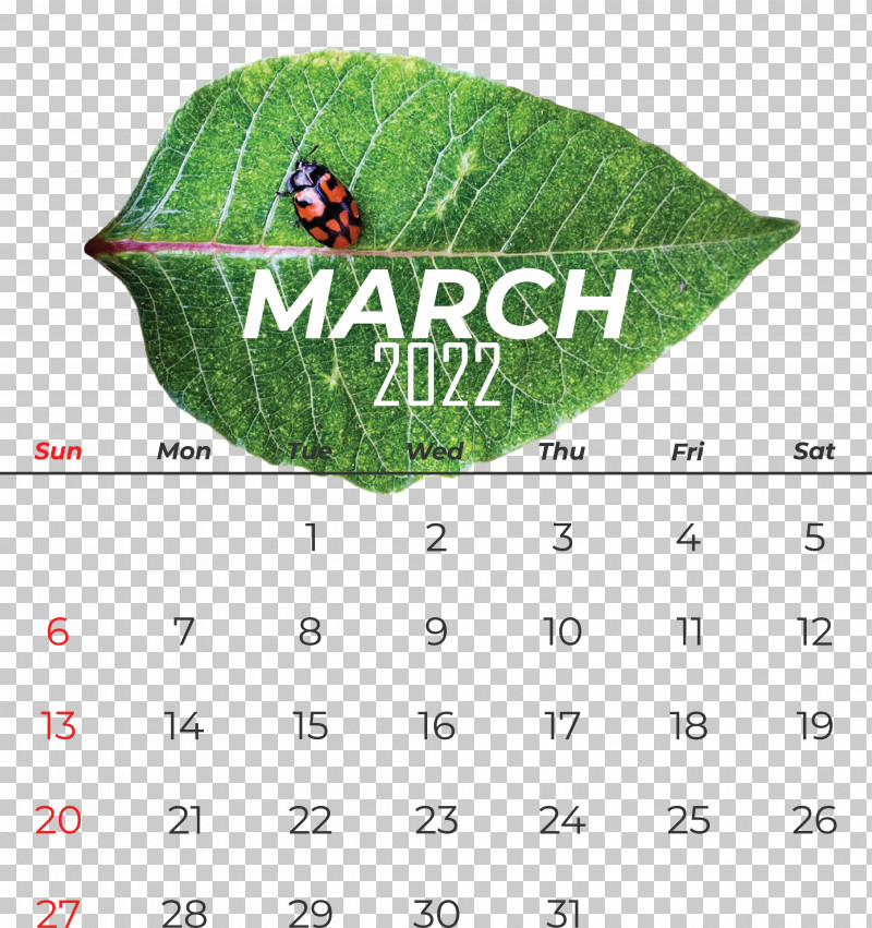 Leaf Calendar Font Meter Science PNG, Clipart, Biology, Calendar, Leaf, Meter, Plant Free PNG Download