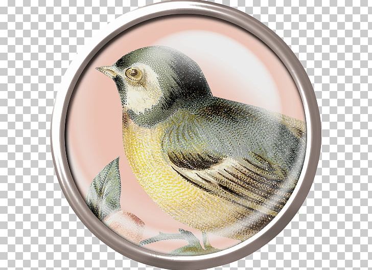 clipart of bird in mirror