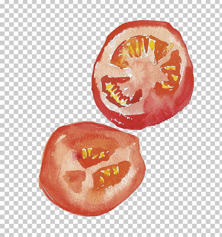 Drawing Watercolor Painting Art Illustration PNG, Clipart, Artist, Cartoon, Citrus, Food, Fruit Free PNG Download