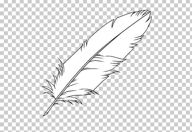 Feather Drawing Coloring Book Bird PNG, Clipart, Angle, Animals, Bird, Black And White, Color Free PNG Download