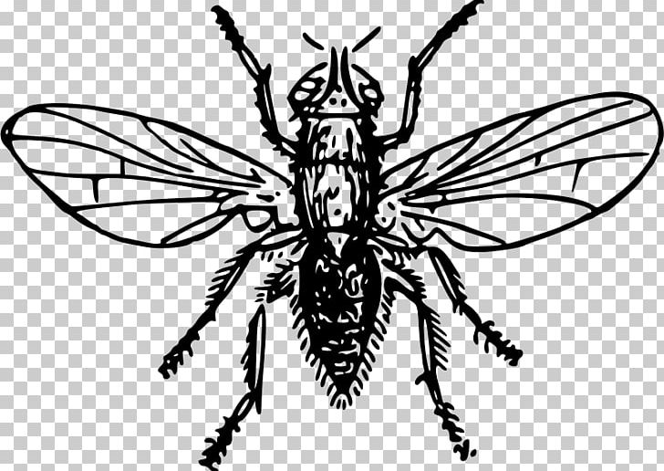 Insect Pest PNG, Clipart, Animals, Arthropod, Artwork, Bee, Black And White Free PNG Download