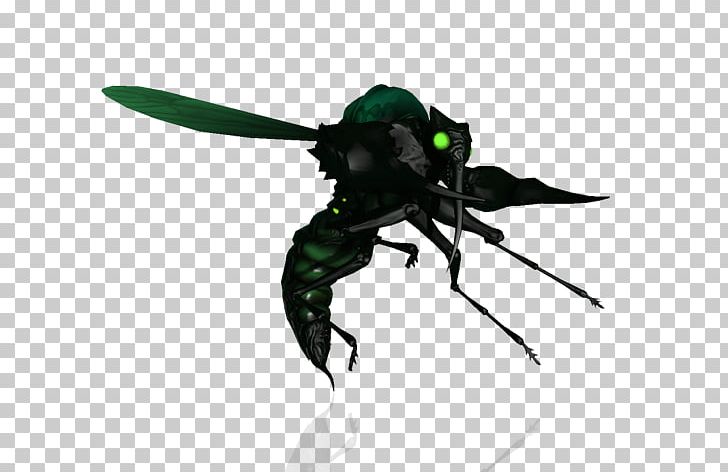 Insect Firefall Spider Madagascar Hissing Cockroach Game PNG, Clipart, 2018, Animals, Arthropod, Culex, Firefall Free PNG Download