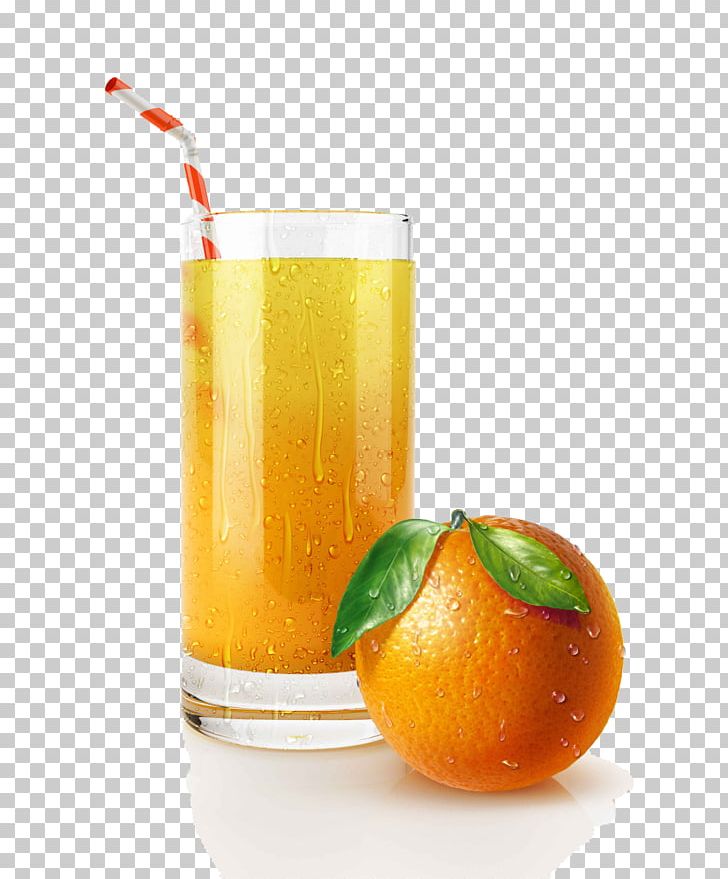 Orange Juice Cocktail Orange Drink Drinking Straw PNG, Clipart, Apple Fruit, Cocktail Garnish, Drink, Fruit, Fruit Juice Free PNG Download