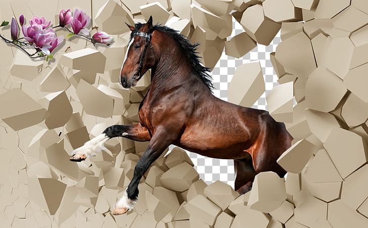 Paper Wall Decal Mural PNG, Clipart, 3d Animation, 3d Arrows, Bedroom, Horse, Horse Harness Free PNG Download