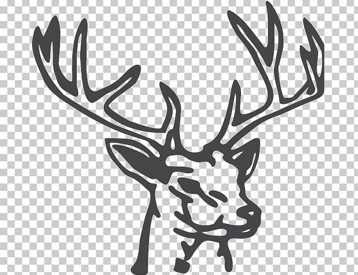 Reindeer Drawing White-tailed Deer PNG, Clipart, Animals, Antler, Black And White, Buck, Decal Free PNG Download
