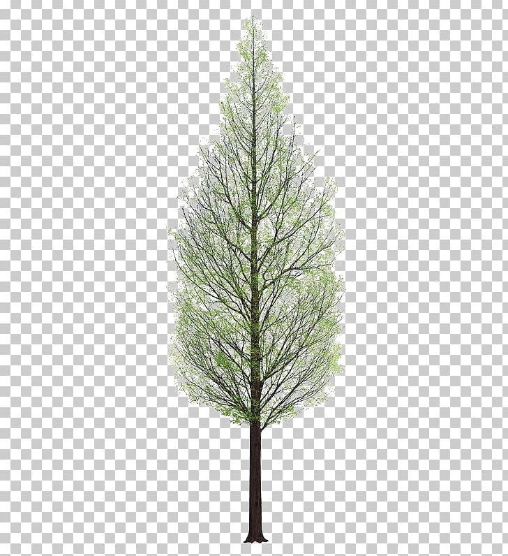 Tree 3D Rendering PNG, Clipart, 3d Rendering, Branch, Cartoon, Christmas Decoration, Encapsulated Postscript Free PNG Download