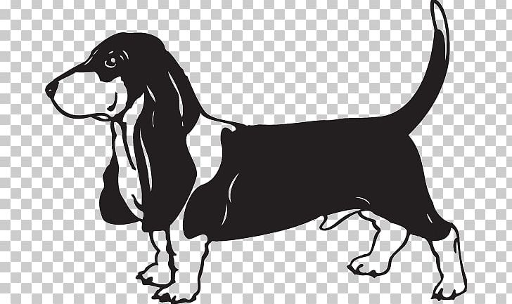 Basset Hound Treeing Walker Coonhound Dachshund Hunting PNG, Clipart, Basset Hound, Beagle, Black And White, Carnivoran, Conformation Show Free PNG Download