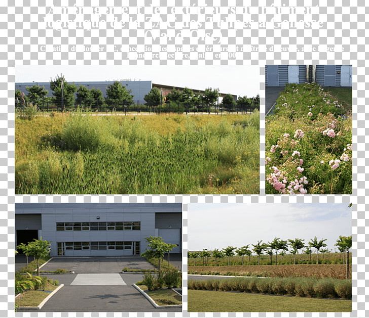 Bureau D'études Techniques General Contractor Landscape PNG, Clipart,  Free PNG Download