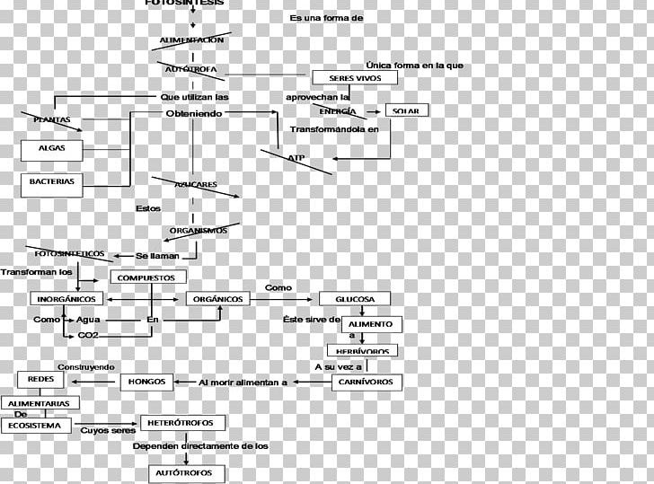 Carbon Cycle Concept Map Photosynthesis Autotroph PNG, Clipart, Angle, Animal, Area, Black And White, Carbon Cycle Free PNG Download