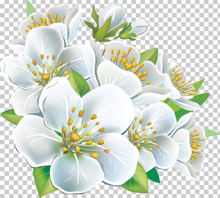 Frames Flower PNG, Clipart, Art, Blossom, Branch, Cherry Blossom, Cut Flowers Free PNG Download
