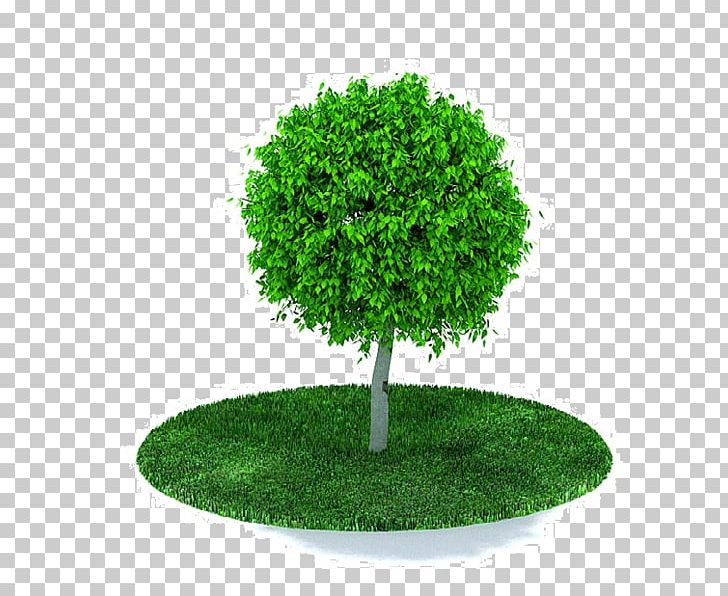 Tree Wavefront .obj File AutoCAD DXF PNG, Clipart, 3d Computer Graphics, 3ds, Arbor Day, Autocad Dxf, Boa Free PNG Download