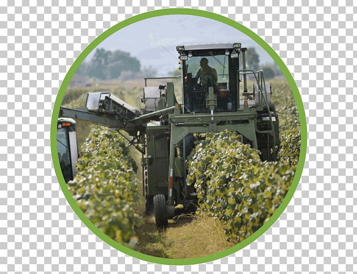 Agriculture Vehicle Tree PNG, Clipart, Agriculture, Circle Cabbage, Grass, Nature, Tree Free PNG Download