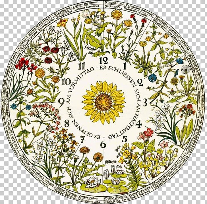 Floral Clock Linnaeus' Flower Clock Chronobiology PNG, Clipart,  Free PNG Download