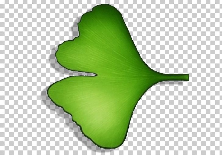 Leaf Plant Stem PNG, Clipart, Audiobook, Ginkgo, Ginkgo Biloba, Grass, Green Free PNG Download