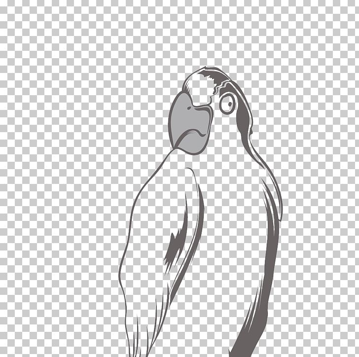 Parrot Black And White T-shirt PNG, Clipart, Adobe Illustrator, Animals, Audio Equipment, Bird, Black Free PNG Download