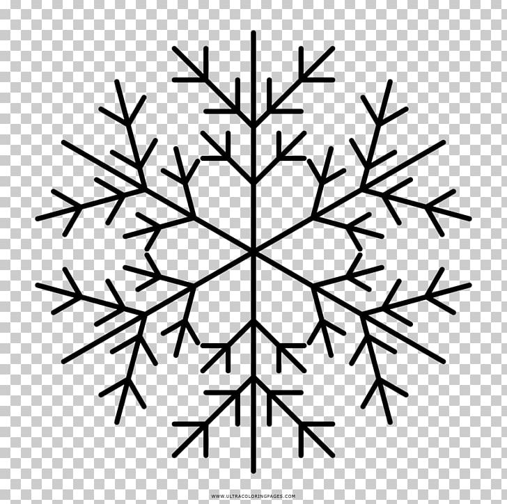 Snowflake Drawing Coloring Book PNG, Clipart, Angle, Black And White, Branch, Circle, Coloring Book Free PNG Download