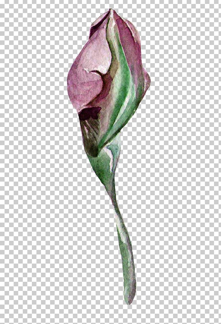 Watercolour Flowers Creative Watercolor Watercolor Painting Bud PNG, Clipart, Bud, Buds, Creative Watercolor, Cut Flowers, Drawing Free PNG Download