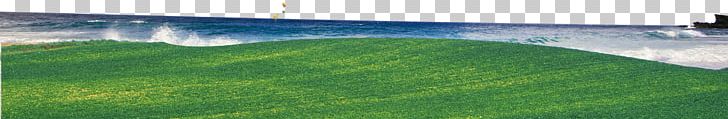 Artificial Turf Landscape Lawn Landscaping Land Lot PNG, Clipart, Artificial Turf, Beach, Beach Ball, Beaches, Beach Party Free PNG Download