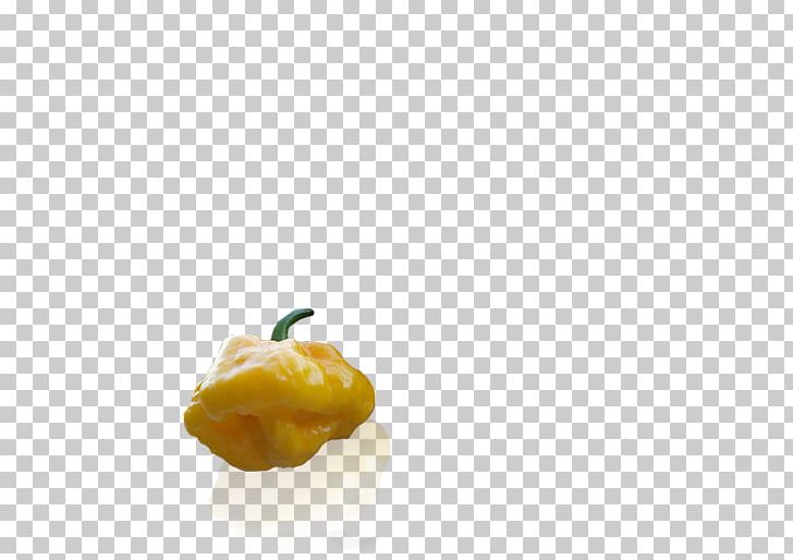 Chili Pepper Bell Pepper Food Vegetable PNG, Clipart, Bell Pepper, Bell Peppers And Chili Peppers, Capsicum Annuum, Chili Pepper, Food Free PNG Download