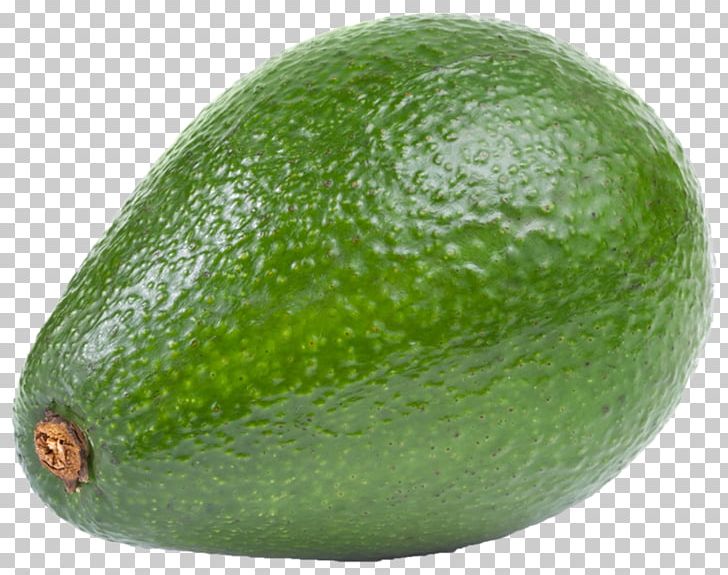 Hass Avocado Fruit PNG, Clipart, Avocado, Blog, Citron, Citrus, Computer Icons Free PNG Download