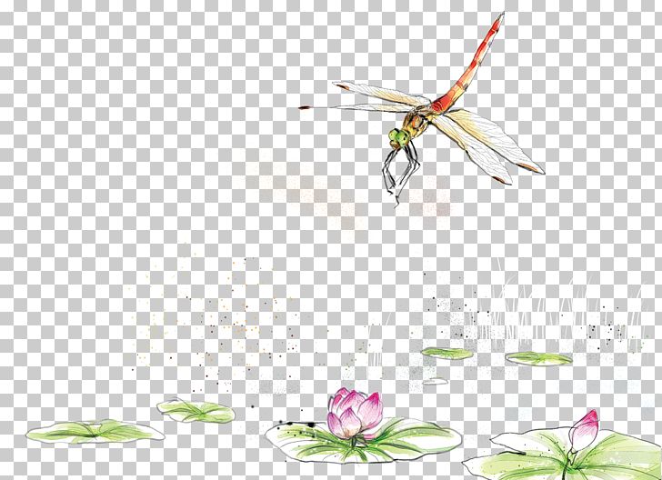 Watercolor Painting PNG, Clipart, Color, Decorative, Encapsulated Postscript, Geometric Pattern, Insects Free PNG Download