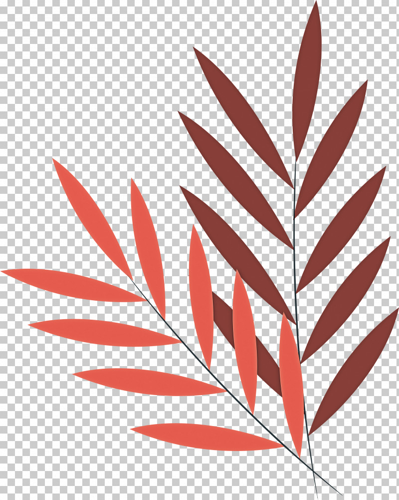 Floral Design PNG, Clipart, Biology, Branch, Floral Design, Flower, Leaf Free PNG Download