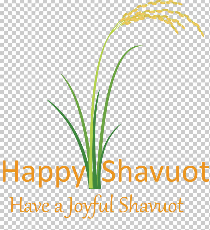 Happy Shavuot Shavuot Shovuos PNG, Clipart, Chives, Flower, Grass, Grass Family, Happy Shavuot Free PNG Download