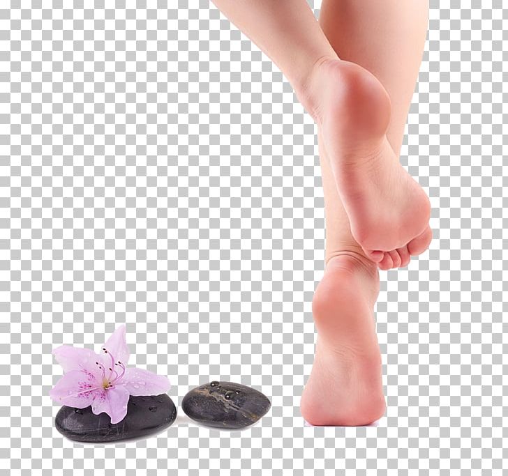 Callus Cleanser Pedicure Hair Removal Foot PNG, Clipart, Ankle, Callus Shaver, Electric Razor, Exfo, Flower Free PNG Download