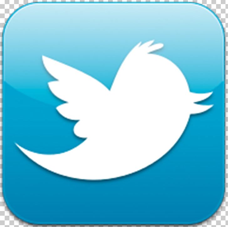 Columbia University Tweetie TwitPic PNG, Clipart, Android, Aqua, Beak, Bird, Columbia University Free PNG Download