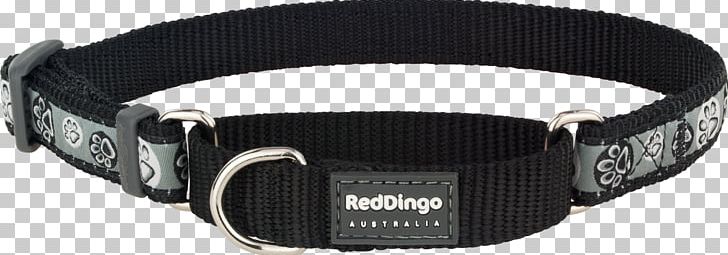 Dog Collar Cat Dingo Dog Collar PNG, Clipart, Buckle, Cat, Choker, Collar, Dingo Free PNG Download
