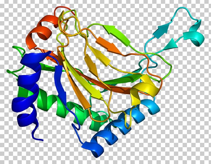 EGLN1 Hypoxia-inducible Factors HIF1A Procollagen-proline Dioxygenase Hydroxylation PNG, Clipart, Alphaketoglutaric Acid, Area, Artwork, Egln1, Enzyme Free PNG Download