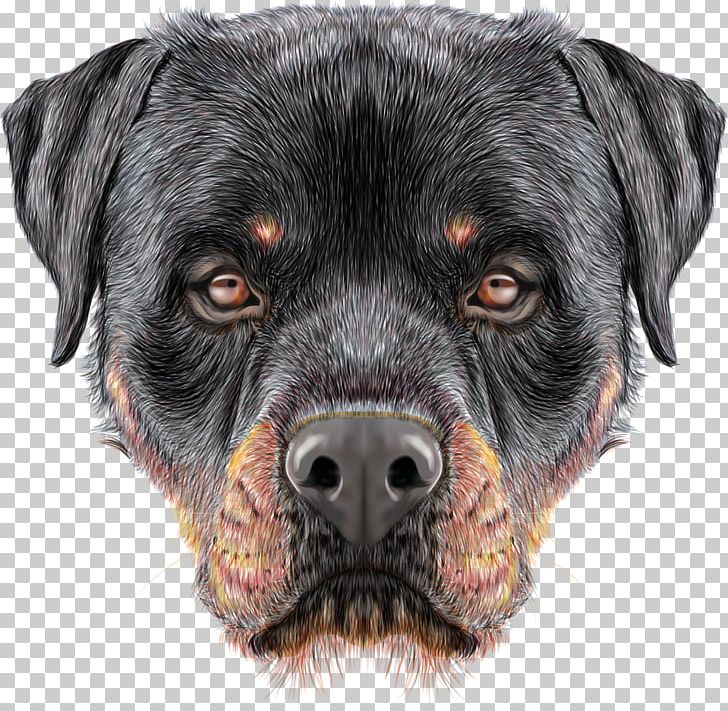 The Rottweiler Puppy Siberian Husky PNG, Clipart, Animals, Carnivoran, Decal, Dog, Dog Breed Free PNG Download