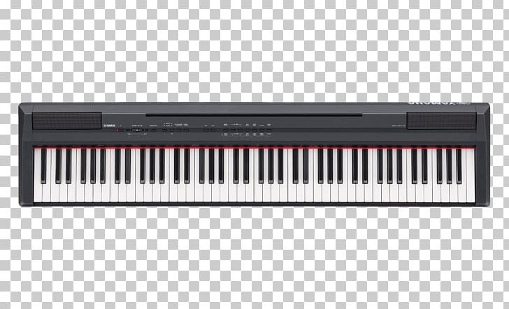 Yamaha P-115 Digital Piano Stage Piano Keyboard PNG, Clipart, Celesta, Electric Piano, Electronic Device, Input Device, Musical Keyboard Free PNG Download