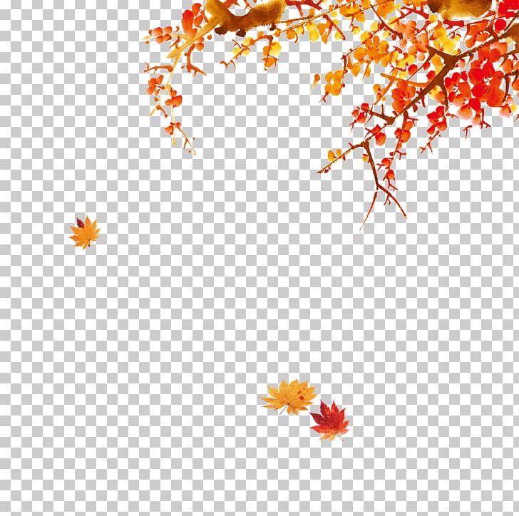Chinese New Year Bainian PNG, Clipart, Autumn, Autumn Leaves, Bainian, Beautiful, Beautiful Leaves Free PNG Download