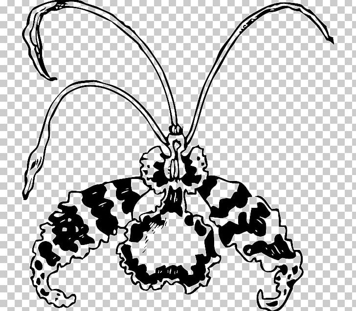 Moth Orchids PNG, Clipart, Arthropod, Artwork, Black And White, Blossom, Body Jewelry Free PNG Download