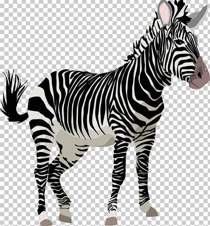 Zebra Free Content Giant Panda PNG, Clipart, Animal, Animals, Animation, Cartoon, Cuteness Free PNG Download