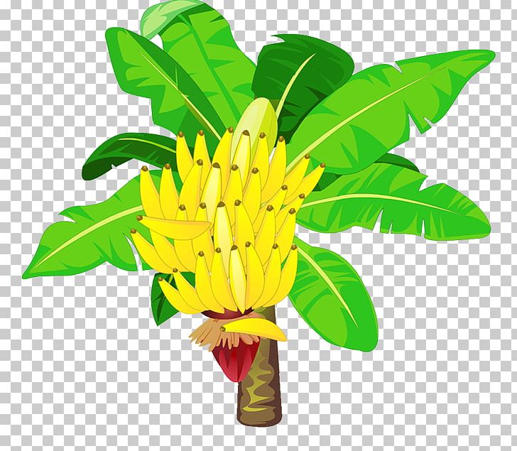 Banana Cartoon PNG, Clipart, Banana, Banana Chips, Banana Leaf, Banana Leaves, Banana Milk Free PNG Download