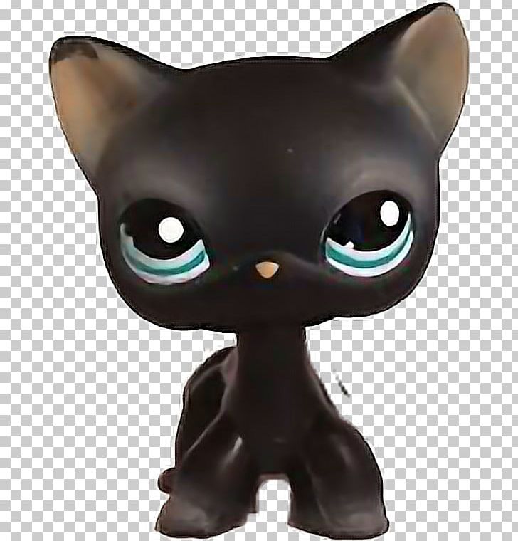 Black Cat British Shorthair Siamese Cat Brazilian Shorthair Domestic Short-haired Cat PNG, Clipart, Black, Black Cat, Blythe, British Shorthair, Carnivoran Free PNG Download