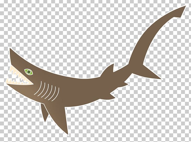 Bluntnose Sixgill Shark Requiem Shark Coloring Book PNG, Clipart, Animal, Animals, Bluntnose Sixgill Shark, Book, Cartilaginous Fish Free PNG Download