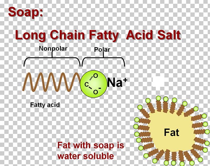 Fatty Acid Lipid Salt PNG, Clipart, Acid, Acid Salt, Area, Bile Acid, Biochemistry Free PNG Download