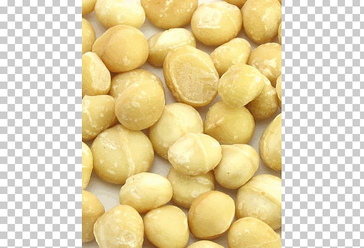 Macadamia Nut Macadamia Oil Chocolate Brownie Marzipan PNG, Clipart, Butter, Chocolate Brownie, Commodity, Dried Fruit, Food Free PNG Download