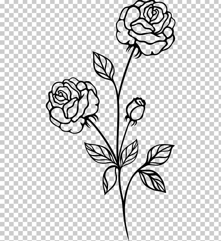 Rose Drawing Shrub PNG, Clipart, Artwork, Black And White, Black Rose, Branch, Color Free PNG Download