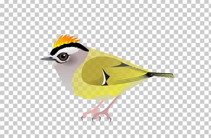 Finches Lark Old World PNG, Clipart, Beak, Bird, Fauna, Feather, Finch Free PNG Download