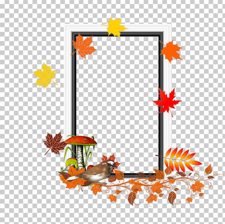 Frames Drawing Photography Leaf PNG, Clipart, Animation, Branch, Collage, Decor, Drawing Free PNG Download