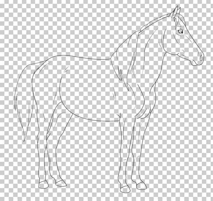 Mane Foal Mustang Stallion Colt PNG, Clipart, Anim, Artwork, Black And White, Bridle, Bucking Horse Free PNG Download
