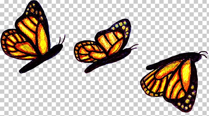 Monarch Butterfly Insect Swingerclub Butterfly FireTwin PNG, Clipart, Animal, Animals, Arthropod, Brush Footed Butterfly, Butterflies And Moths Free PNG Download